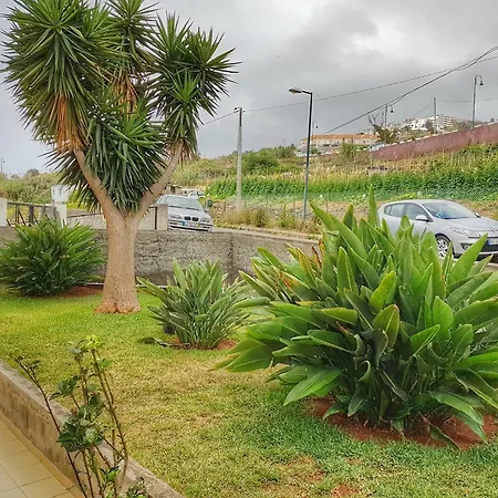 Falesia - Reis Magos